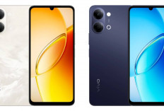 Review Vivo Y6c 2026: HP Murah dengan Baterai Besar dan Layar Mulus, Masih Layak Dibeli Tahun Ini!