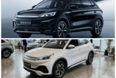 Review BYD Atto 3: SUV Listrik Modern dengan Fitur Pintar, Performa Responsif, dan Desain Futuristis
