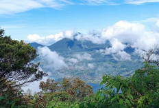 Dari Kerajaan Mengwi ke Puncak Mangu: Menaklukkan Gunung Catur di Bali