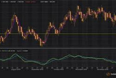 Strategi Terbukti untuk Menghasilkan Uang dari Aplikasi Forex