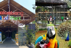 Nikmati Liburan Akhir Tahun Kalian di Palembang Bird Park, Wisata Edukasi Memikat!! 