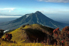 Cocok Bagi Pendaki Pemula, Cek Lokasi Gunung Lawu Di  Jawa Tengah Wajib Dikunjungi Lurrrrr