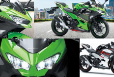 Desain Kawasaki Ninja 250 Model 2025 Semakin Garang dengan Fitur Canggih, Segini Harganya!