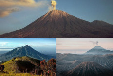 Dikenal Paling Angker, Ini dia 7 Rahasia di Balik Gunung Terangker Indonesia Kisah Seram Para Pendaki!