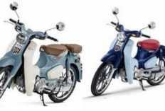 Review Honda CT125 2026: Motor Trail Klasik Modern Ini Ternyata Punya Keunggulan yang Jarang Disadari!