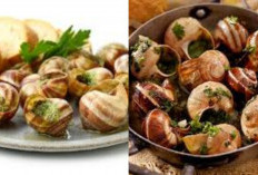 Tak Hanya Lezat, Ini Manfaat Kesehatan dari Escargot yang Jarang Diketahui