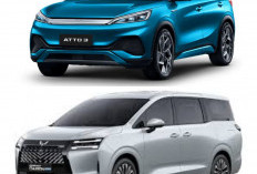 BYD vs Wuling, Mana yang Lebih Tangguh untuk Kebutuhan Harian?