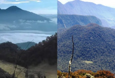 Pasar Gaib Gunung Sindur, Fenomena Misterius di Tengah Hutan!