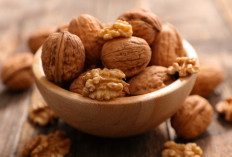 Kacang Kenari Sumber Nutrisi dan 5 Manfaat Kesehatan Yang Luar Biasa
