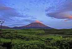 Petualangan di Gunung Kerinci! Pendakian, Letusan, dan Keajaiban Alam