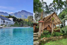 Glamping di Gunung Salak, Temukan 5 Tempat Terbaik untuk Pengalaman Tak Terlupakan!