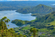 Melihat Keajaiban Alam dan Sejarah Manusia, Eksplorasi Fosil di Sekitar Danau Toba