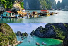 Mengenal Keindahan Wisata di Vietnam Halong Bay