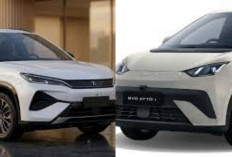 Daftar Harga Mobil Listrik BYD Mei 2026 Terbaru: Seal Makin Diburu, Dolphin Kini Jadi Pilihan Paling Murah!