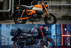 Ikon Klasik Makin Tangguh! Honda Monkey 125 Versi 2026 Hadir dengan Kapasitas Angkut Luar Biasa