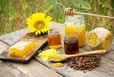 Yuk Cari Tahu, 5 Keajaiban Royal Jelly Nutrisi Terbaik Dari Dunia Lebah Untuk Tubuh Anda