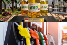 B50 Perlu Adaptasi, Ini Dampaknya untuk Mesin Diesel Modern dan Kendaraan Lama!