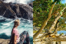 Berenang di Kolam Alami hingga Surfing, Aktivitas Seru di Pantai Wediombo