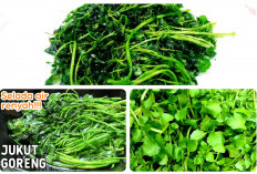 Mengolah Jukut, Sayuran Khas yang Dikenal dari Masyarakat Sunda, Begini Penampakkannya