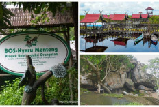 Ada 3 Wisata yang wajib Dikunjungi jika Berlibur Ke Kota Palangkaraya, Berikut Penjelasannya!