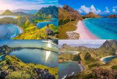  5 Tempat Wisata di Labuan Bajo yang Wajib Dikunjungi?