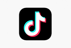 Main Aplikasi Tiktok Digaji, Simak Ini Penjelasanya!