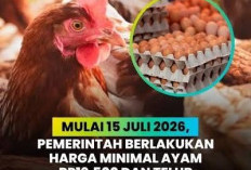  Kementan Tetapkan Harga Minimal Ayam Hidup Rp19.500/Kg dan Telur Rp24.000/Kg Mulai 15 Juli 2026