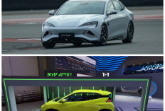 Biaya Harian Membengkak Ini Alasan Orang Lirik Mobil Listrik