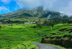 Menjelajahi Pesona Kota Pagar Alam: Destinasi Wisata yang Menakjubkan