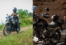 Menjajal Royal Enfield Himalayan 450, di Jalan Off-Road dan Sehari-hari, Begini Hasilnya!