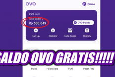 Inilah Cara Mudah Raup Rp690 Ribu dari Aplikasi OVO Tanpa Drama Undang Teman
