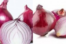 Rahasia Kesehatan dari Dapur Terungkap 12 Manfaat Bawang Merah yang Wajib Anda Ketahui!