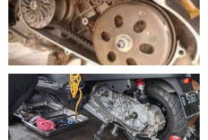 Hemat Bensin Beralih ke BYD Ini Rahasia Isi Daya Tanpa Ribet