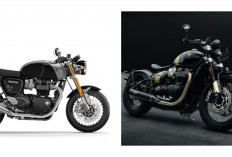Resmi Meluncur! Intip Harga Motor Triumph Paling Terjangkau di IIMS 2026, Benarkah Setara Motor Jepang?