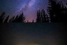 Yuk Ungkap Rahasia Teknologi Canggih di Balik Foto Malam yang Tetap Terang