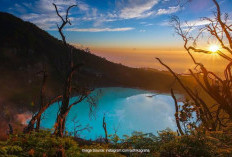 Jangan Ngaku Pecinta Alam, Kalau Belum ke Puncak Gunung Patuha Bandung! 