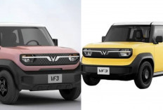 Review VinFast 2026: Mampukah Mobil Listrik Asal Vietnam Ini Mengguncang Dominasi Merek Jepang dan China!
