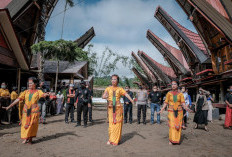 Ternyata 8 Tradisi Unik Suku Toraja Ini Berhasil Gemparkan Dunia, Ini Dia Tradisinya!