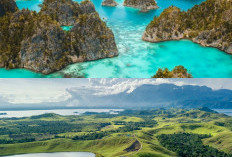Mengagumkan! Menyelusuri Keindahan Alam Papua Barat
