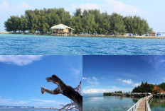 Pulau Pandan, Tempat Terbaik untuk Melarikan Diri dari Hektik Kota!