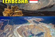 5 Wilayah Indonesia Terkenal dengan Sumber Daya Alam Emasnya