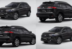 Review Crossover 2026: Desain Futuristik, Teknologi Canggih, Tapi Apakah Layak Dibeli Tahun Ini!