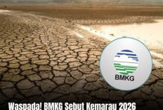 BMKG Ingatkan Puncak Kemarau Terjadi September-Oktober 2026