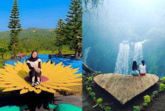 Tempat Wisata Alam di Banyumas Yang Menarik Wajib Kalian Kunjungi! 