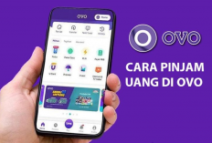 Cara Cepat dan Mudah Pinjam Saldo OVO 15 Juta Tanpa Paylater! Prosesnya Hanya 5 Menit!