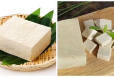 Ketahui! Inilah Manfaat Tahu dan Resep Sehat Olahannya