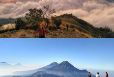 Pendakian Gunung Sindoro, Ujian Fisik dan Mental di Tengah Mitos!