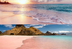 Mengapa Pantai Pink Harus Masuk dalam Daftar Destinasi Wisata Anda? Simak Artikel Ini!