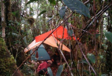 Menjelajahi Keindahan Gunung Abong-Abong