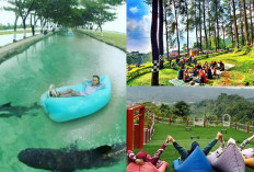 Rayakan Liburan Tahun baru di kendal Dengan Pemandangan alam yang Menakjubkan!!